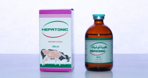 HEPATONIC